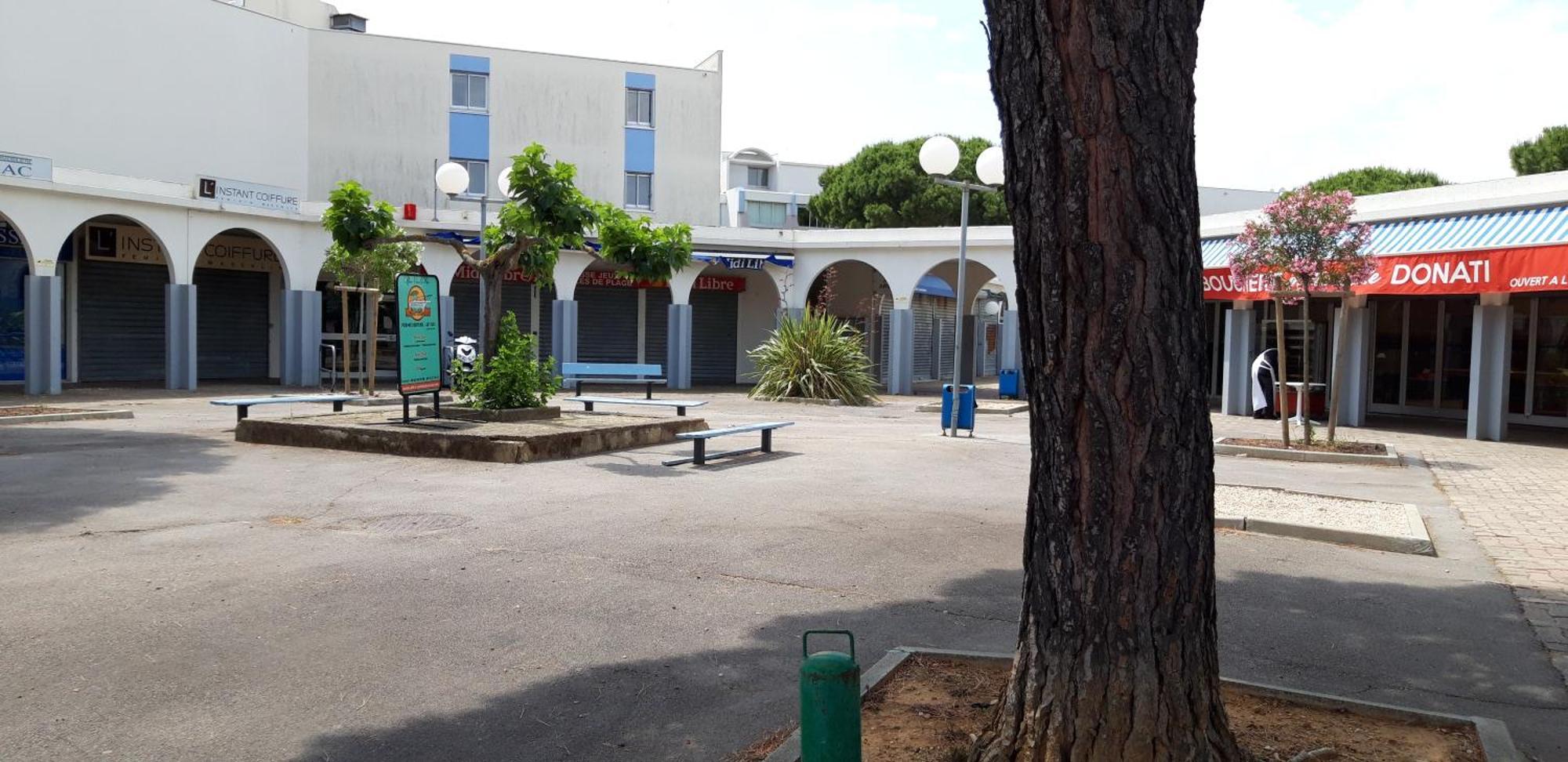 Residence Les Floralies 2 - Avenue De Camargue Ле-Гро-дю-Руа Екстер'єр фото